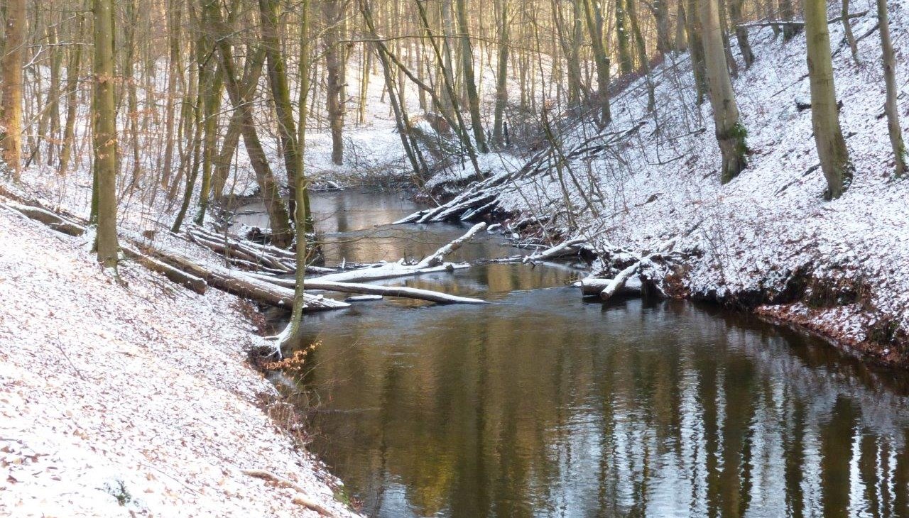 Mildenitz_Durchbruchstal, &copy; Naturpark Nossentiner/Schwinzer Heide