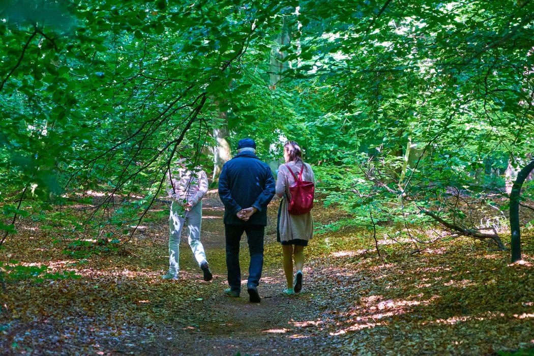 © Kur- und Tourismusbetrieb Ostseebad Prerow © Kur- und Tourismusbetrieb Ostseebad Prerow