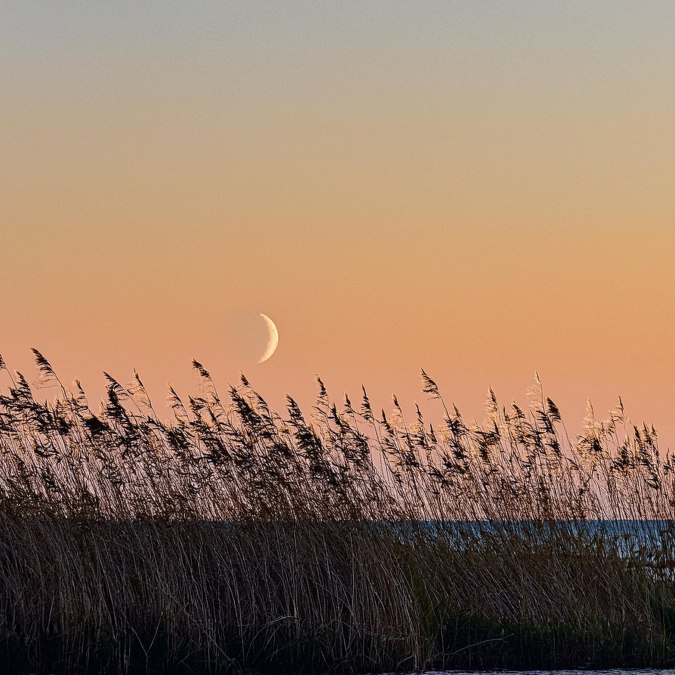 New moon, © Kurverwaltung Mönchgut