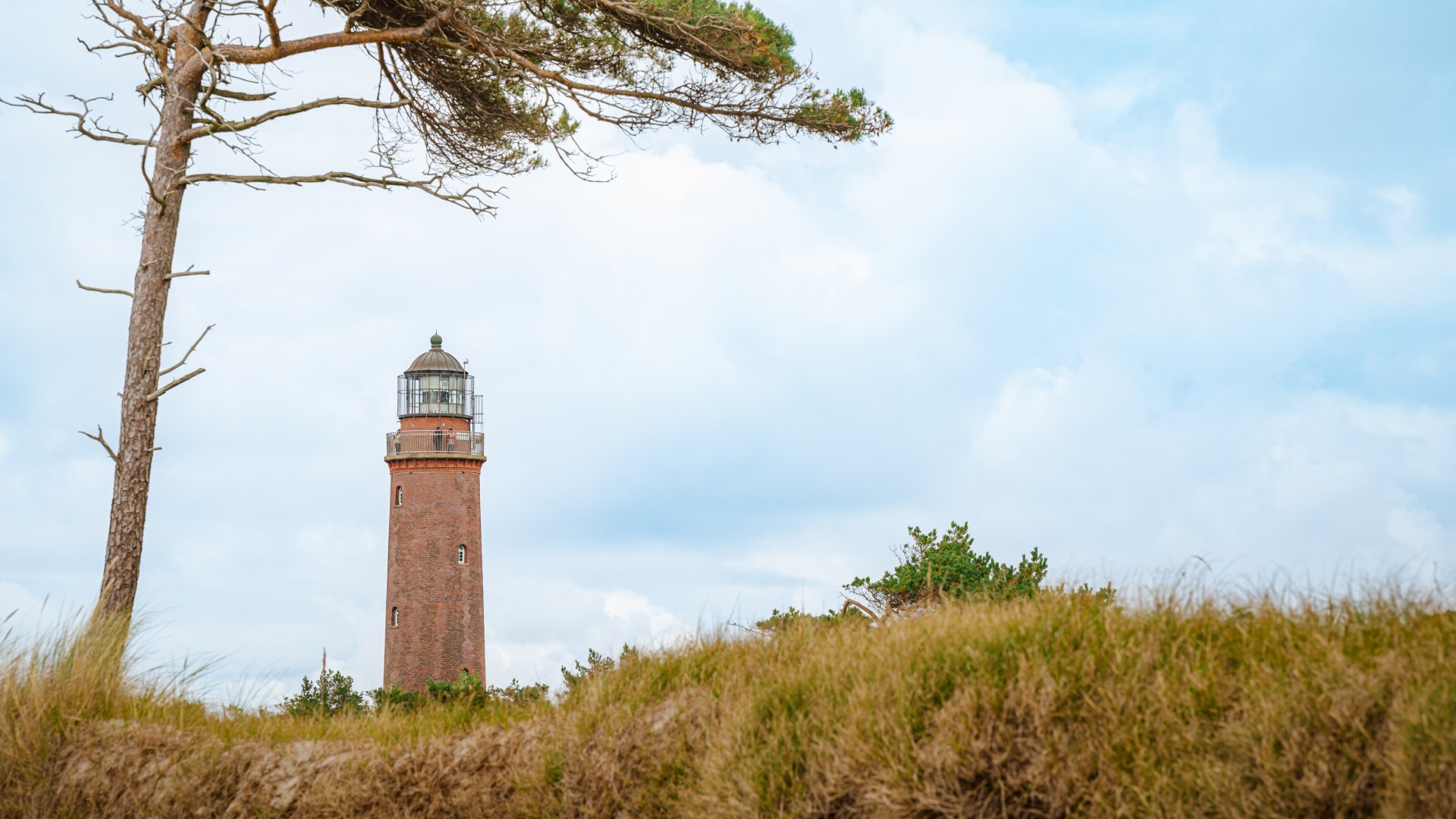 De vuurtoren biedt een prachtig uitzicht op de Baltische Zee en het natuurreservaat., © TMV/Tiemann De vuurtoren biedt een prachtig uitzicht op de Baltische Zee en het natuurreservaat., © TMV/Tiemann