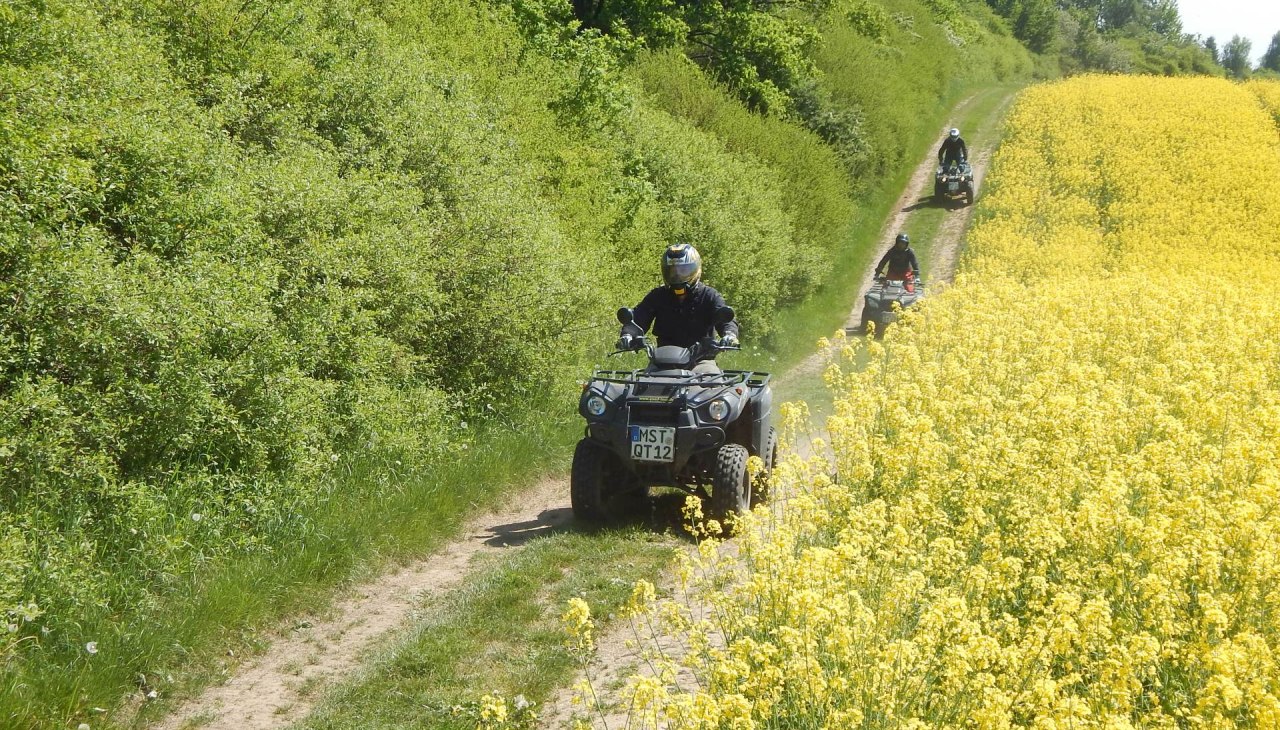 Przygoda w terenie, © Holger Jänke Przygoda w terenie, © Holger Jänke