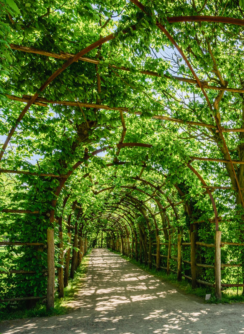 De arcades van de Schwerin Paleistuinen - de zon schijnt door de groene bladeren.
