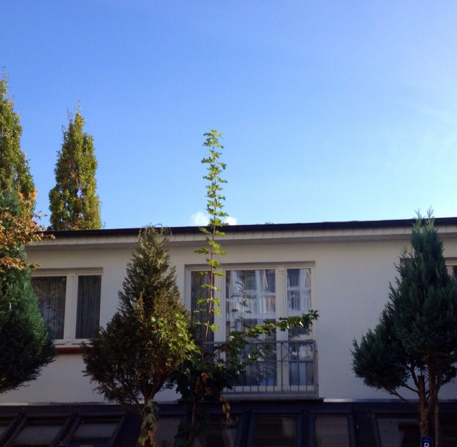 &copy; Bernhard Franke