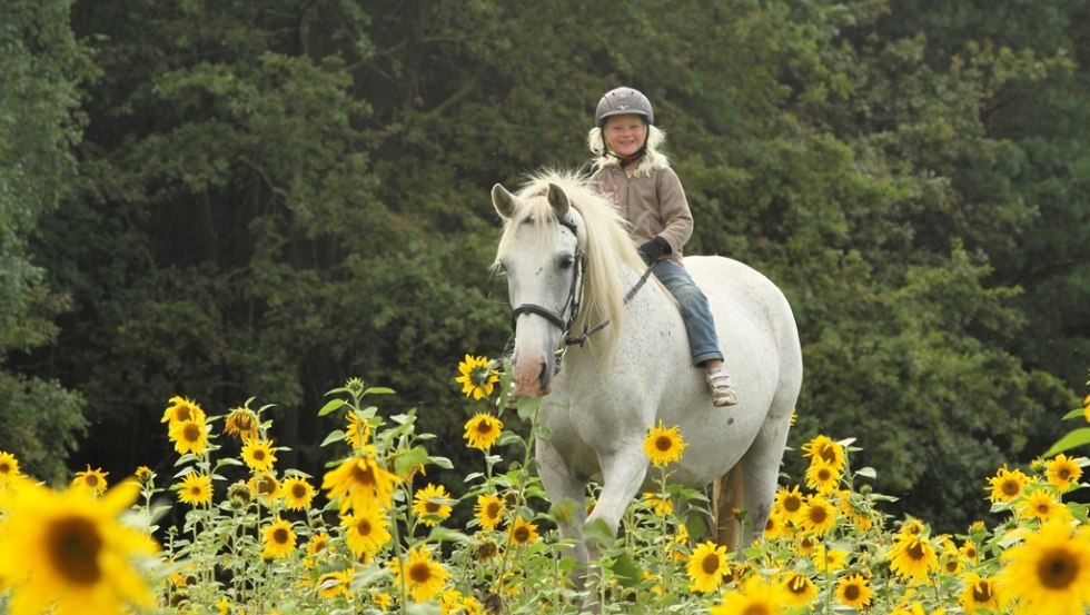 Een vakantie op het platteland in Diemitz kan zo mooi zijn // © Landurlaub Diemitz/ Renate Strohm Een vakantie op het platteland in Diemitz kan zo mooi zijn // © Landurlaub Diemitz/ Renate Strohm