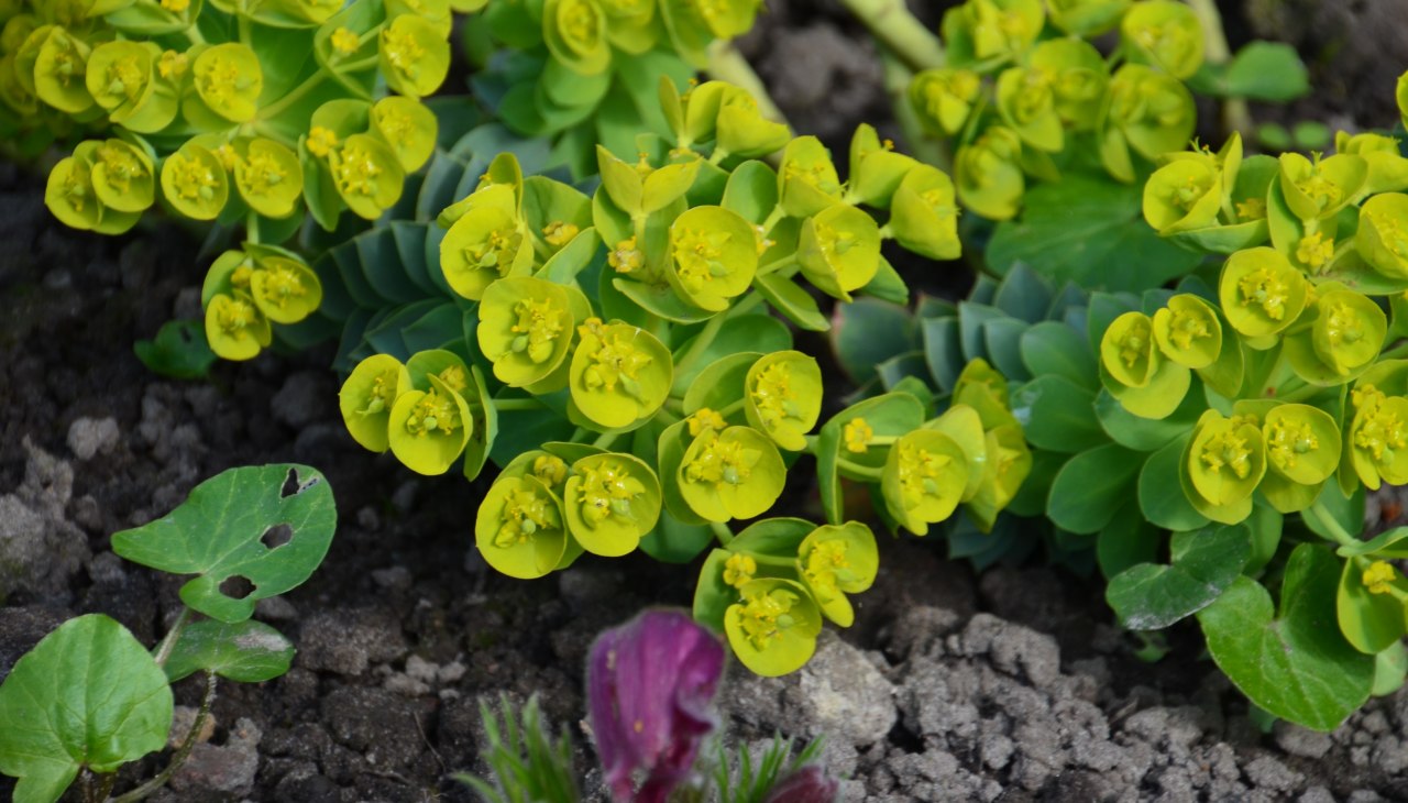 Odkryj naturę, © Tourismusverband Vorpommern e.V. Odkryj naturę, © Tourismusverband Vorpommern e.V.