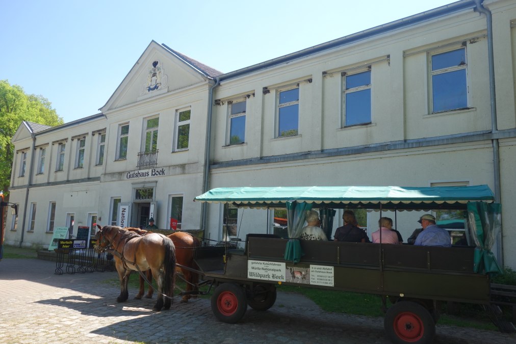 Boek Manor House, © TDG Rechlin mbH
