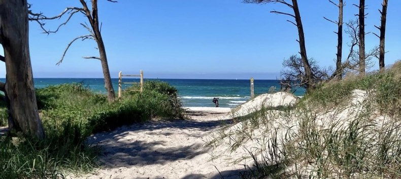 Westelijk strand // &copy; Islandpferdehof Fischland