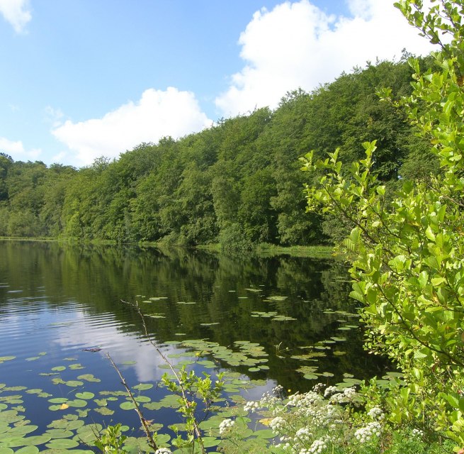 © Biosphärenreservatsamt Südost-Rügen © Biosphärenreservatsamt Südost-Rügen
