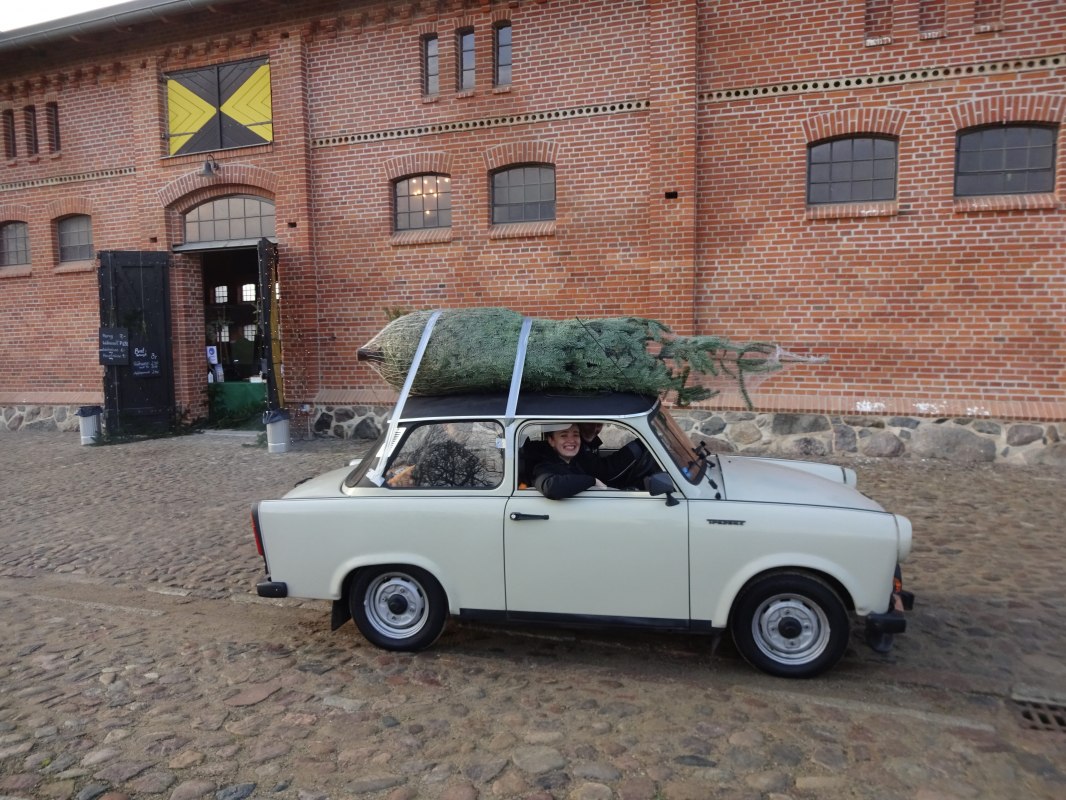 The right Christmas tree size for everyone. // &copy; Christian Schierning