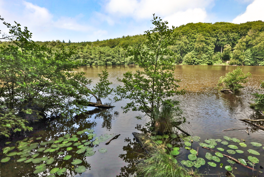 hertha lake_2, © TMV/Gohlke
