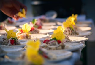 Dinner im Gew&auml;chshaus auf Gut Rosengarten // &copy; Stefan Pocha