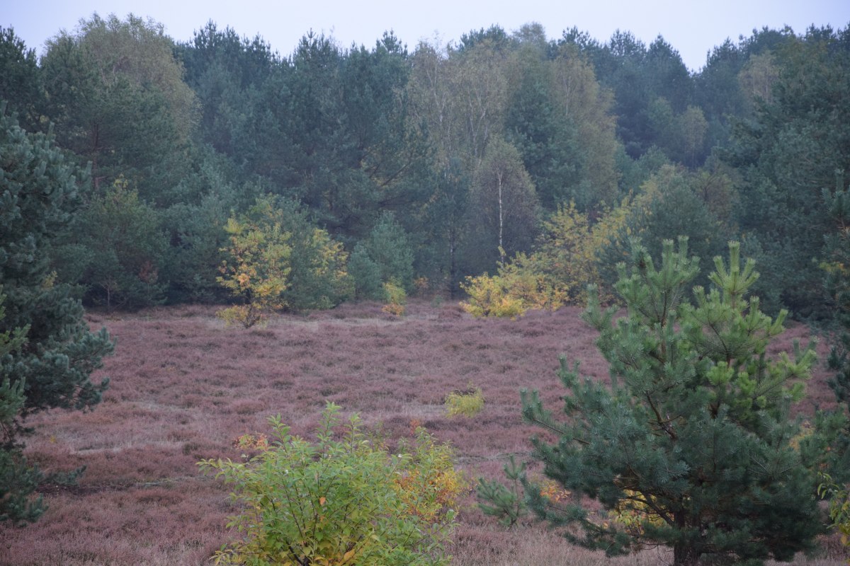 13.10.16_Truppenuebungsplatz_1_M._Fuhrmann, &copy; Martina Fuhrmann