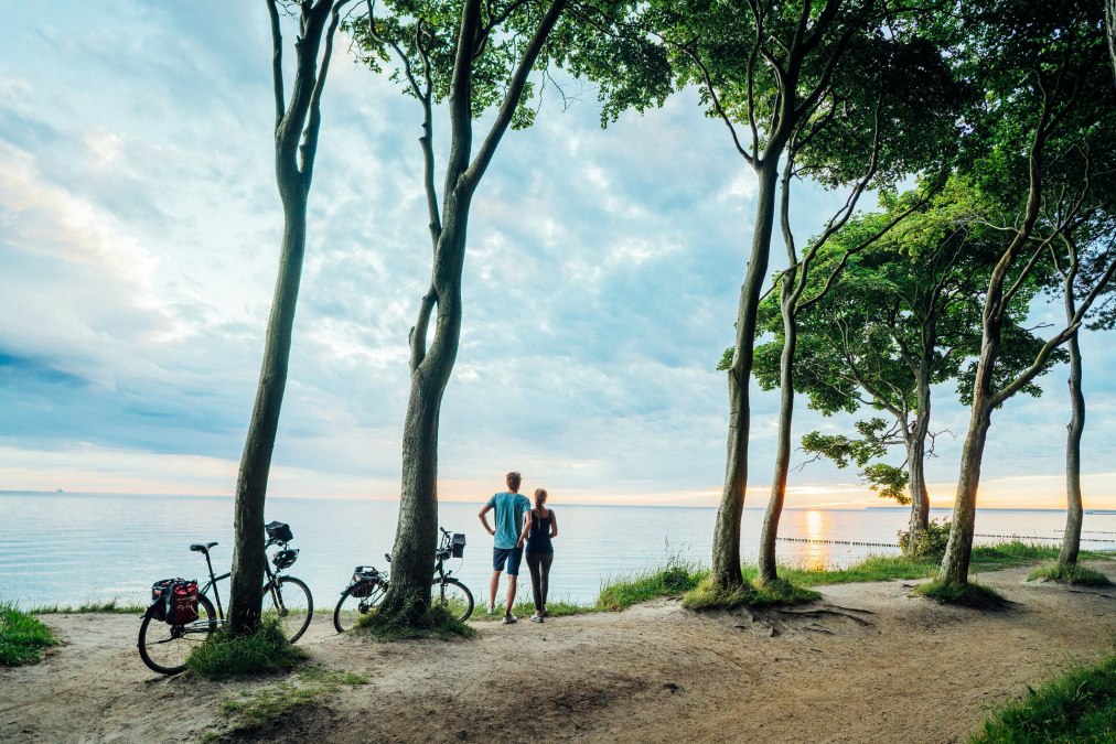 Nienhägener ghost forest is located directly on the Baltic Sea coast, © TMV/Gänsicke