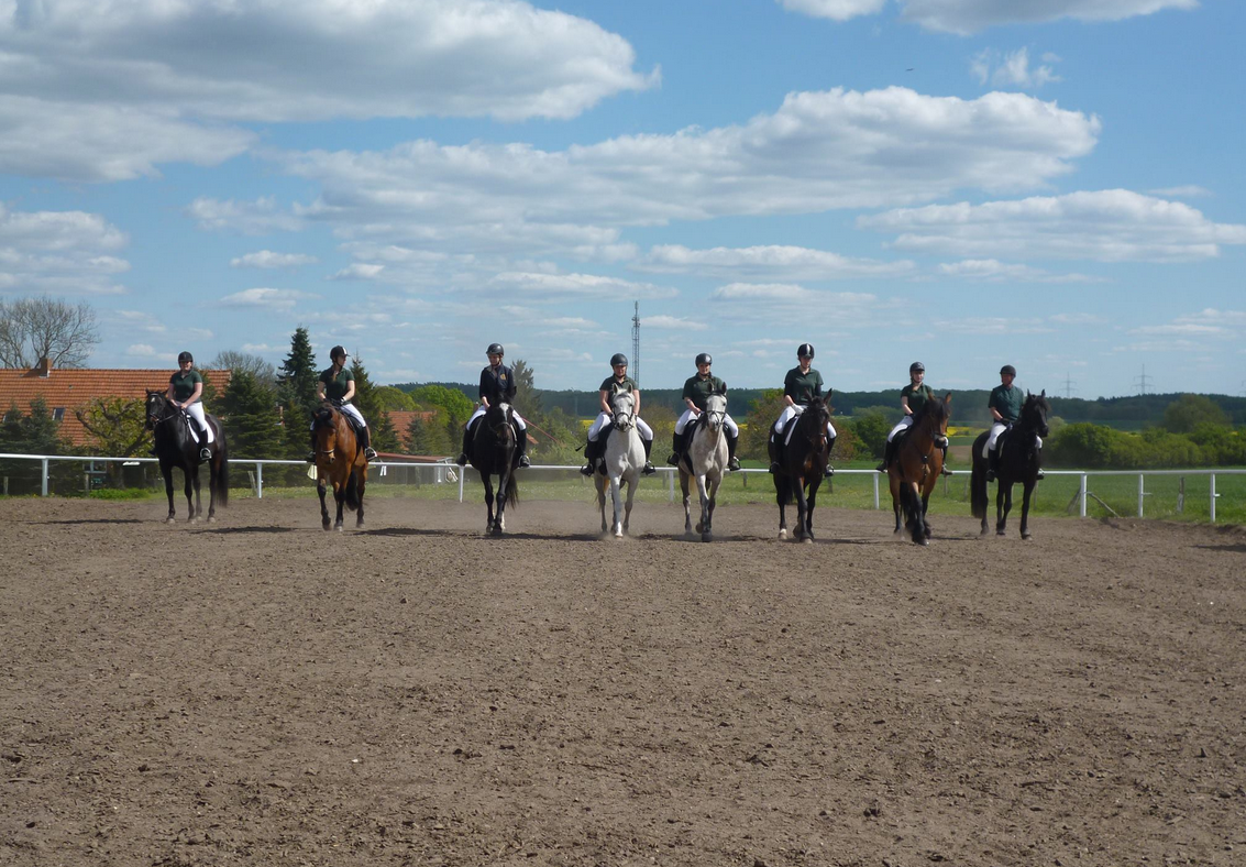 Reiterhof Enning2, © Reiterhof Enning Reiterhof Enning2, © Reiterhof Enning