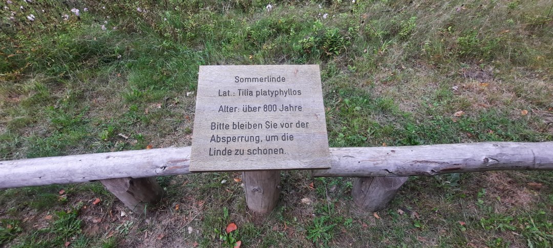 Kalkbord, © Waren (Müritz)-Information