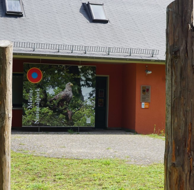 Wystawa poświęcona ptakom i ich piórom // © Wiebke Döbbert Wystawa poświęcona ptakom i ich piórom // © Wiebke Döbbert