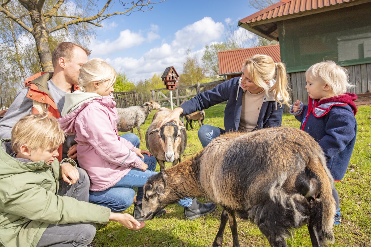 &copy; Fleesensee Feriendorf GmbH