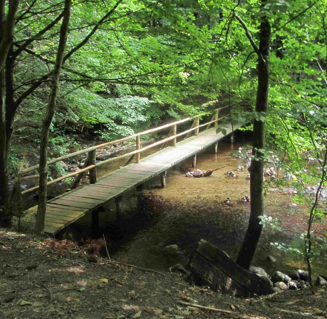 In the fog valley, &copy; np-msk