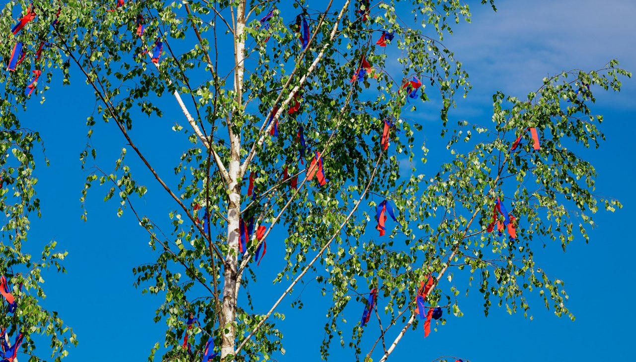 maypole-3367293_1920, &copy; Gemeinde Ostseebad Glowe