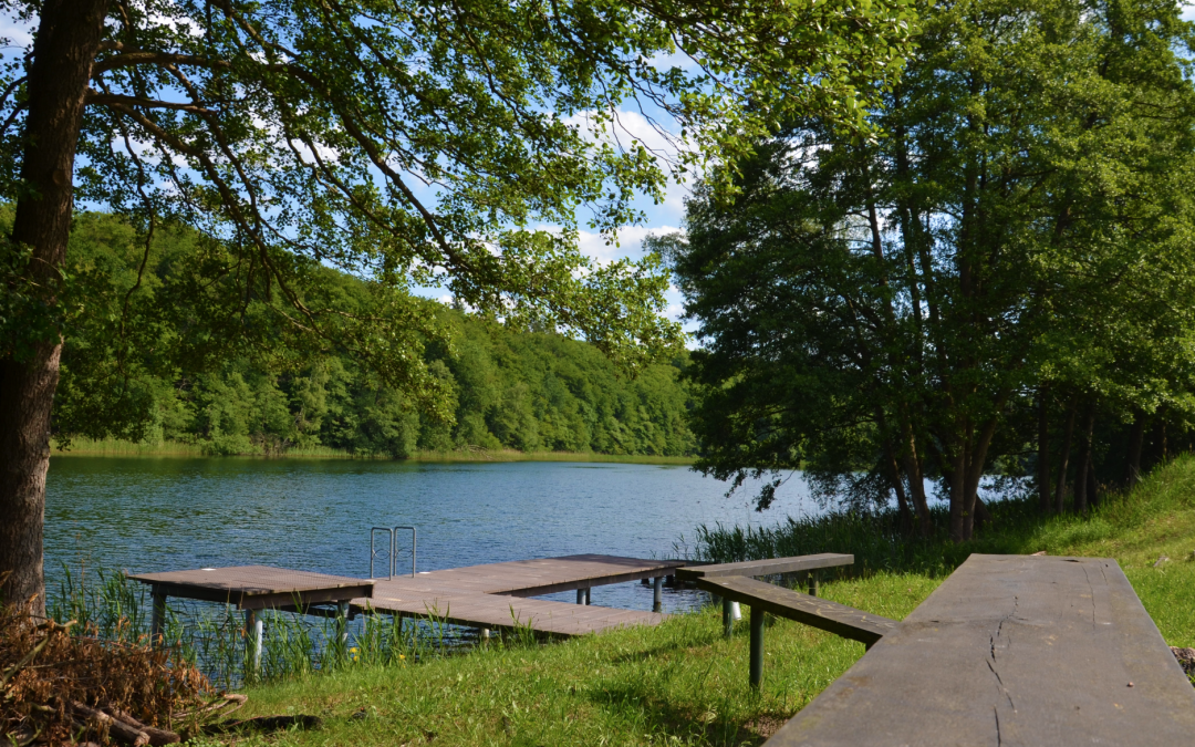 Dolgener See bathing area 2, © Martin Möller