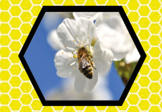 &copy; Ren&eacute; Beutekamp