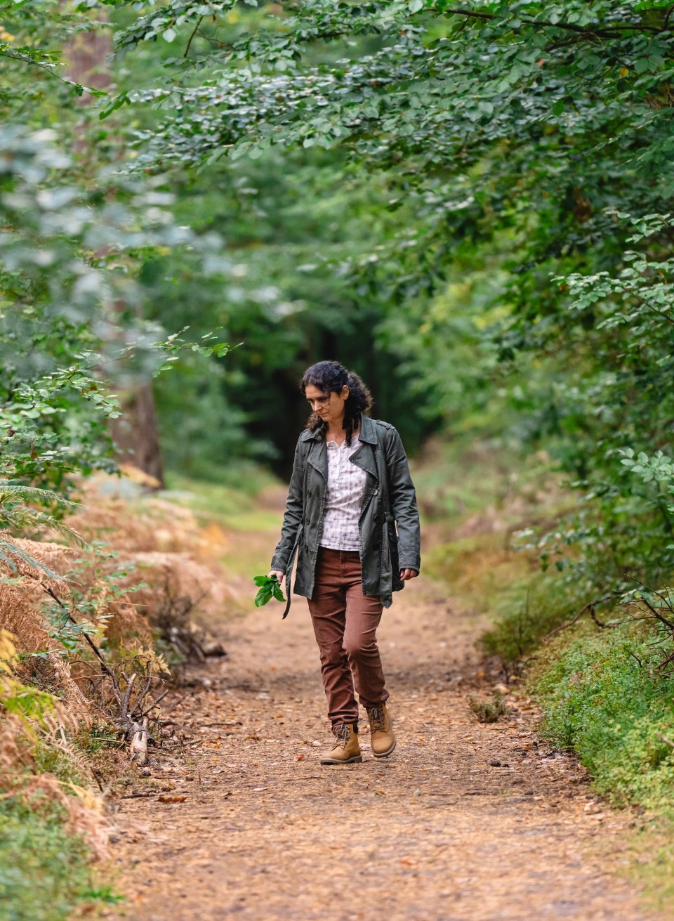 Kobieta zbierająca dzikie zioła na leśnej ścieżce w nadbałtyckim uzdrowisku Graal-M&uuml;ritz.