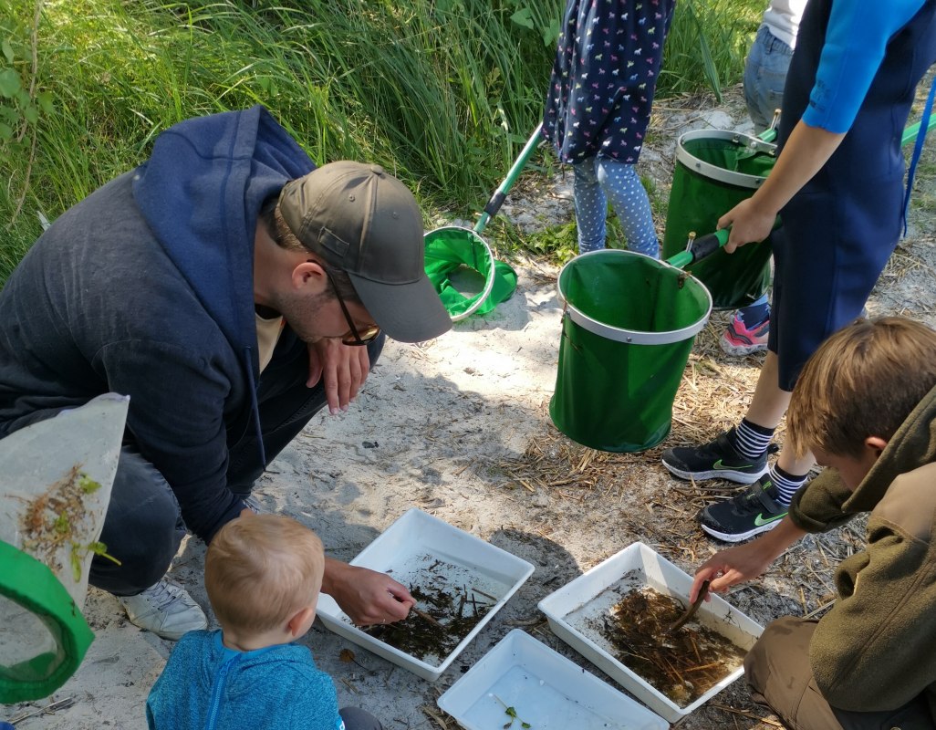 &copy; W. D&ouml;bbert