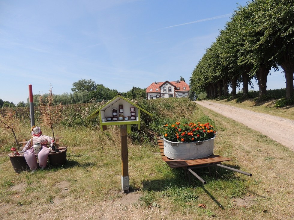 Widok na drogę dojazdową do Einhusen // © Kurverwaltung Insel Poel Widok na drogę dojazdową do Einhusen // © Kurverwaltung Insel Poel