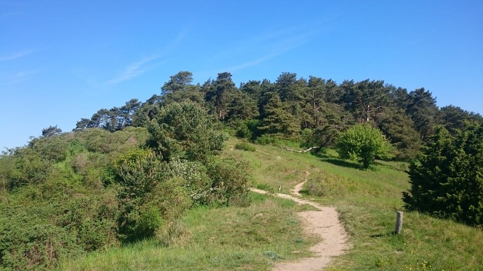 Uitzicht op de Witte Berg // &copy; MV-T/Bodieschek