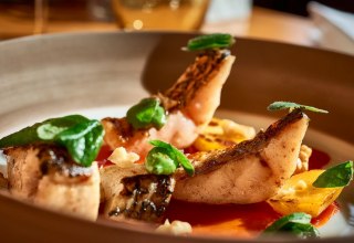 &copy; MV-T/Pocha.de