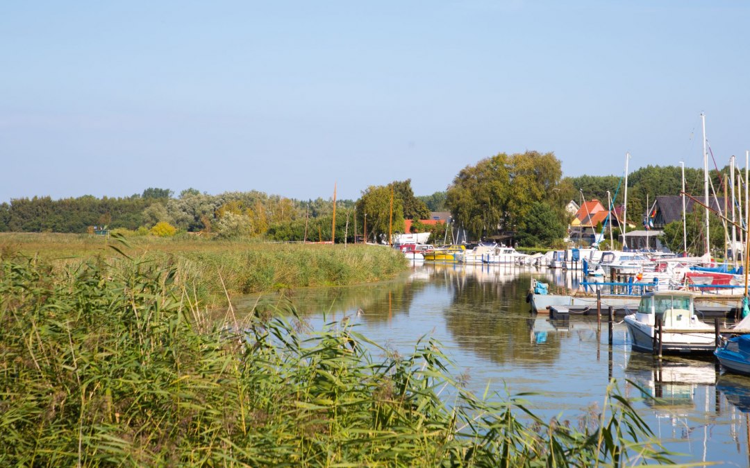 Port w Vogelsang, © Arndt Gläser