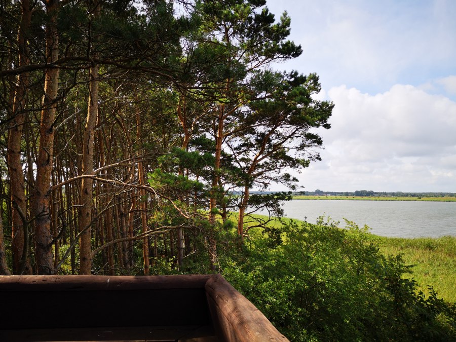 hochsitz-fuchsberg_barth_nicole-paszehr-2 hochsitz-fuchsberg_barth_nicole-paszehr-2