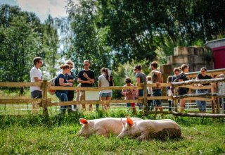 &copy; Land der Tiere