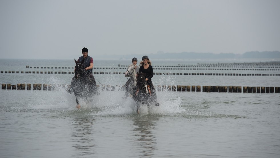 Reiterhof Gränert offers horseback rides to the Baltic Sea. // © MV-T/ Frank Hafemann Reiterhof Gränert offers horseback rides to the Baltic Sea. // © MV-T/ Frank Hafemann