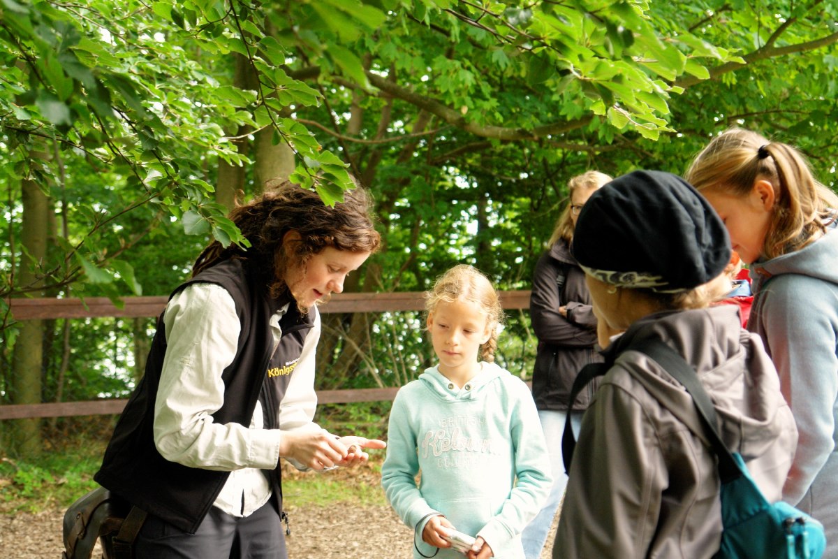 © NZK-Lehmann © NZK-Lehmann