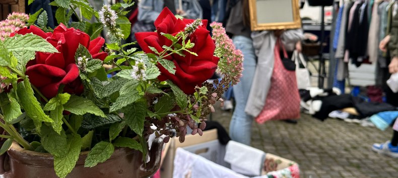 © © Die Stadtmagneten e. V. © © Die Stadtmagneten e. V.