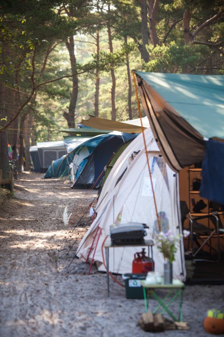 Camping under pine trees, © Tina Peißker