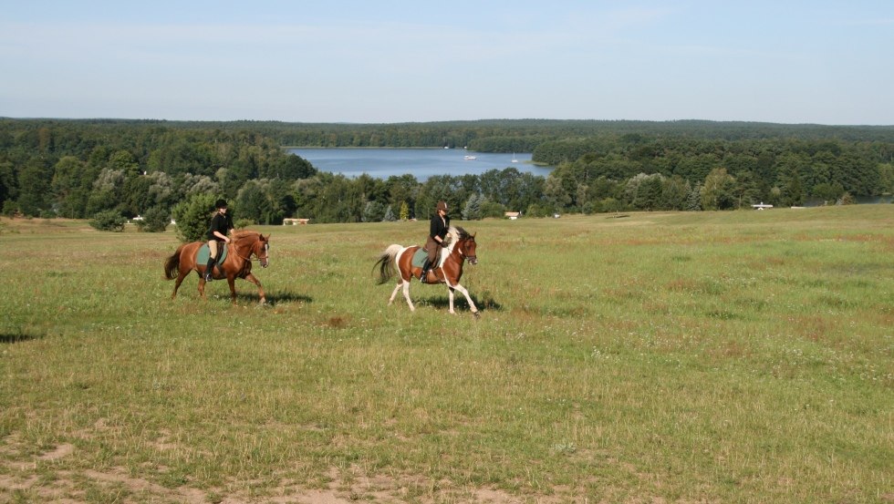 Wspaniały widok podczas jazdy w najwyższym punkcie Lychen. // &copy; Reit- und Fahrtourstik Lychen