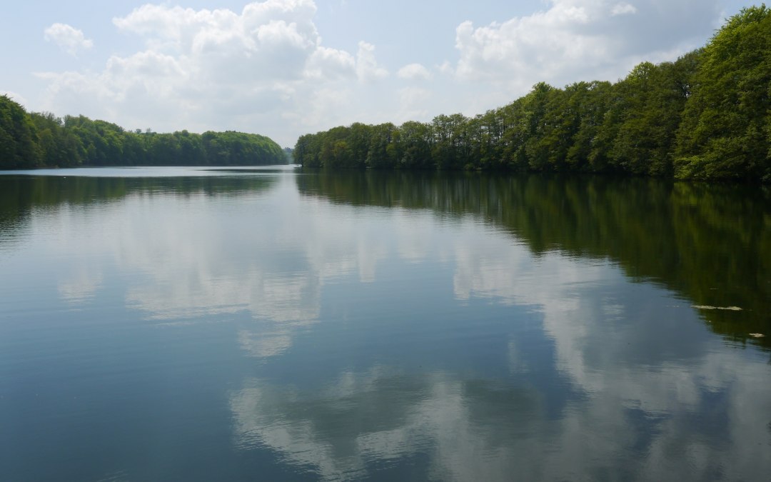View from the bathing place Dolgen in the direction of Koldenhof, © Andreas Stief