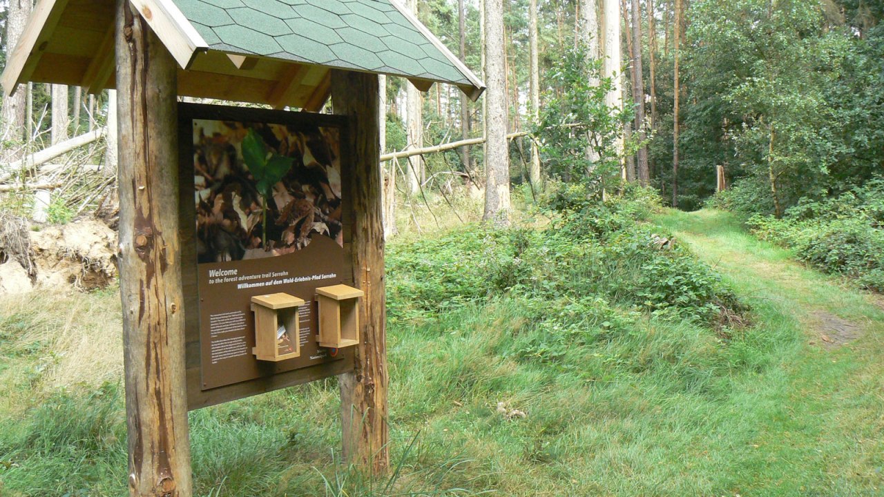 Information board of the forest adventure trail // © Nationalparkamt Müritz Information board of the forest adventure trail // © Nationalparkamt Müritz