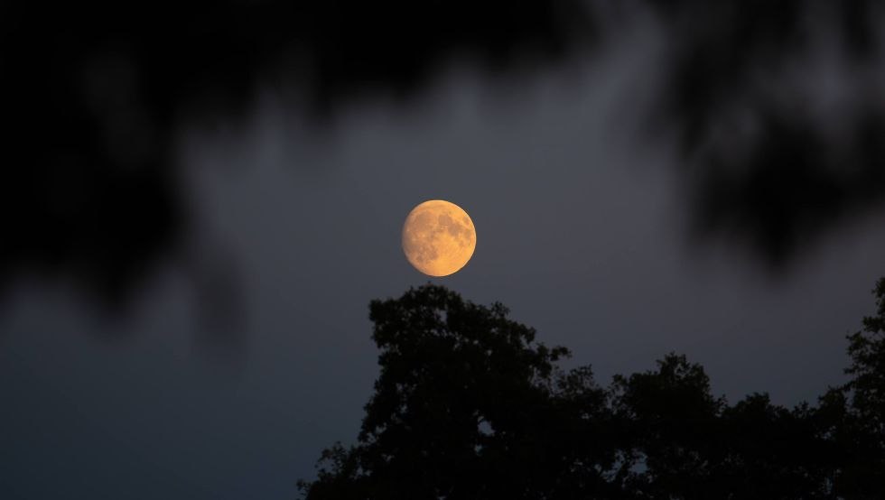Framing the moon, © Jessica Plöse