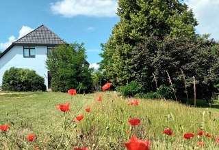 Großer Garten für Pausen und Bewegung // © hubmueritz Großer Garten für Pausen und Bewegung // © hubmueritz