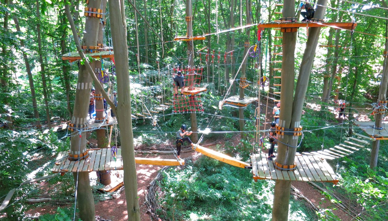 Climbing forest overview, &copy; Michael Schicha