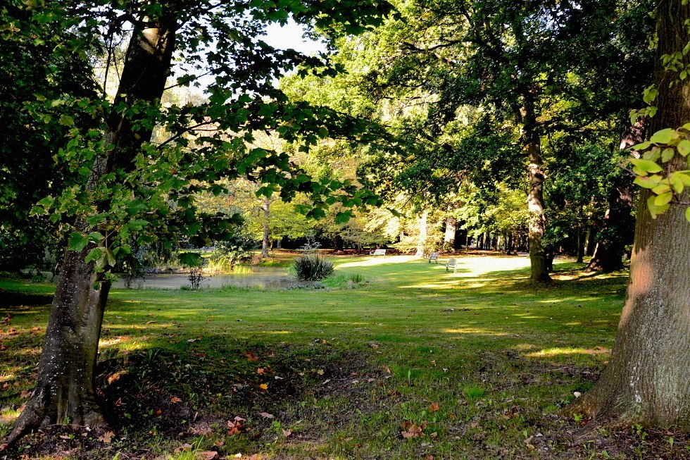 Park Zdrojowy Juliusruh, © Tourismuszentrale Rügen