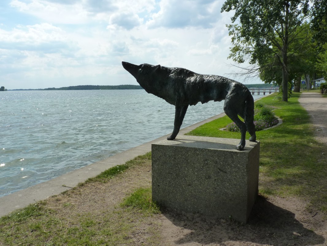 © Waren (Müritz)-Information © Waren (Müritz)-Information