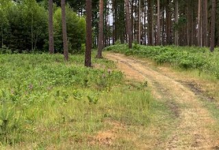 &copy; Touristinformationen Wesenberg & Mirow, Mecklenburgische Kleinseenplatte