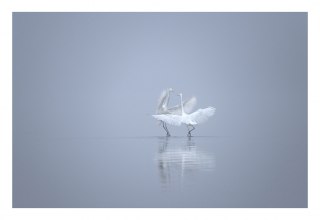 &copy; Monika Lawrenz