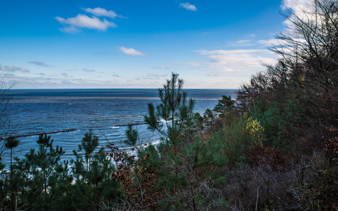 Wandeling met de boswachter, © insel-fotograf.eu, Andreas Dumke