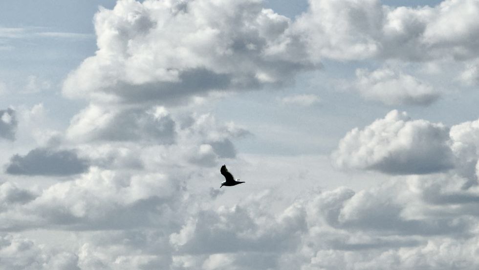 Sea wide, &copy; Katrin Sander