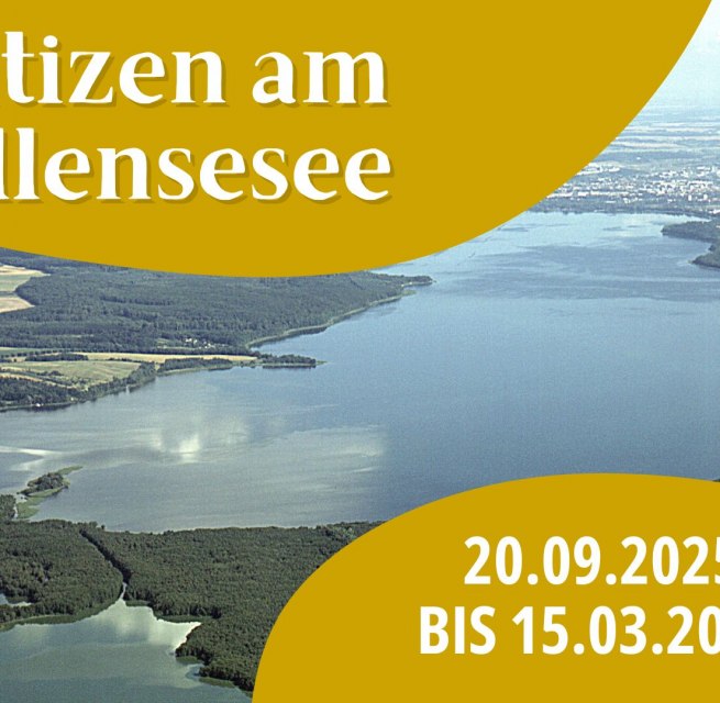 © Vier-Tore-Stadt Neurandenburg
